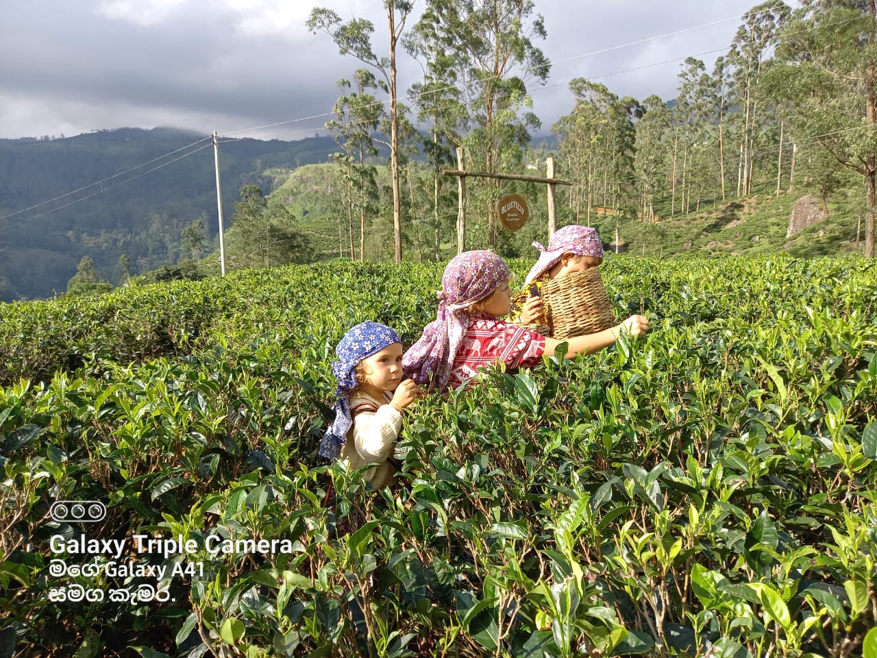 Sri Lanka Tour Memory