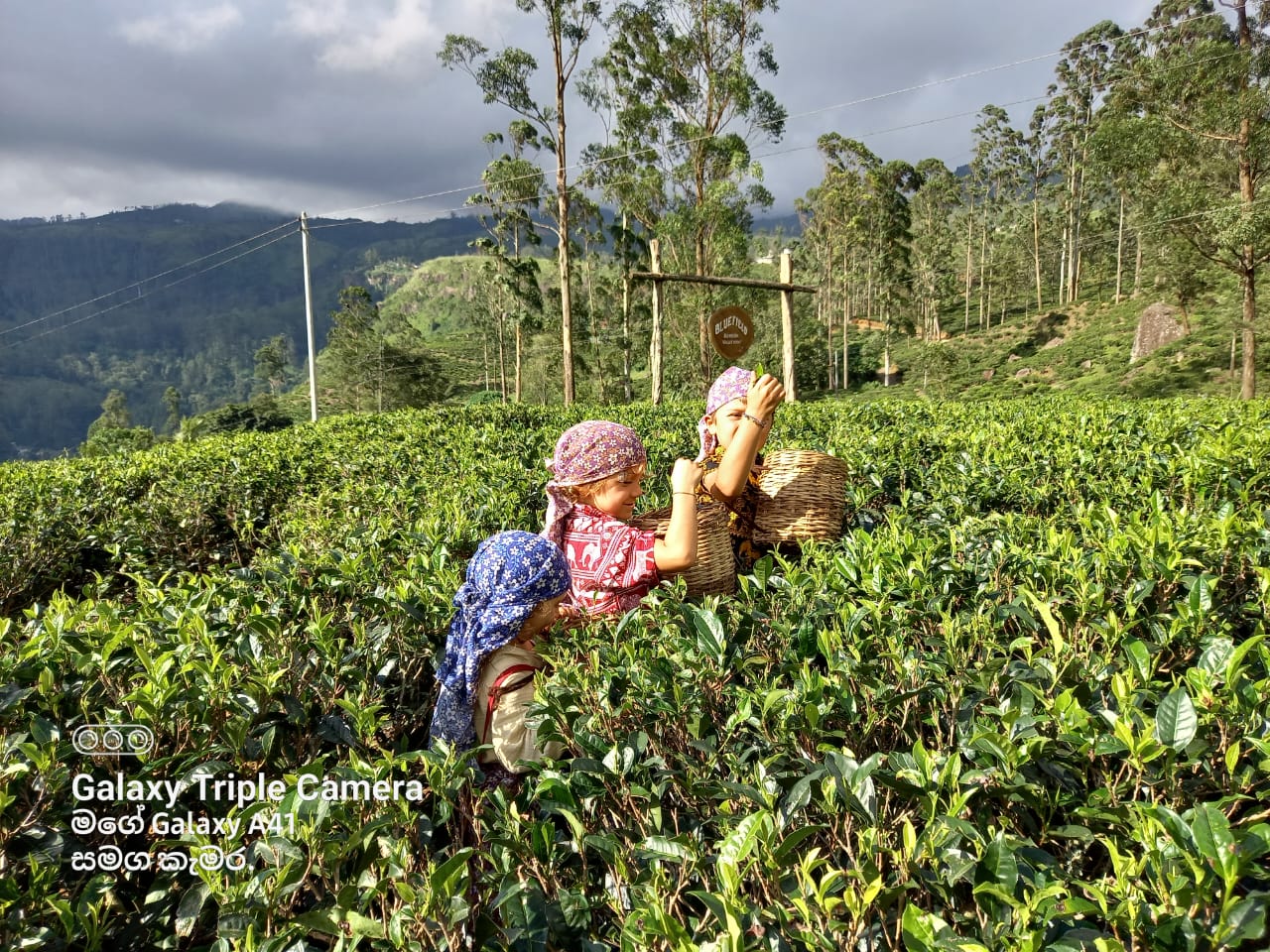 Sri Lanka Tour Memory