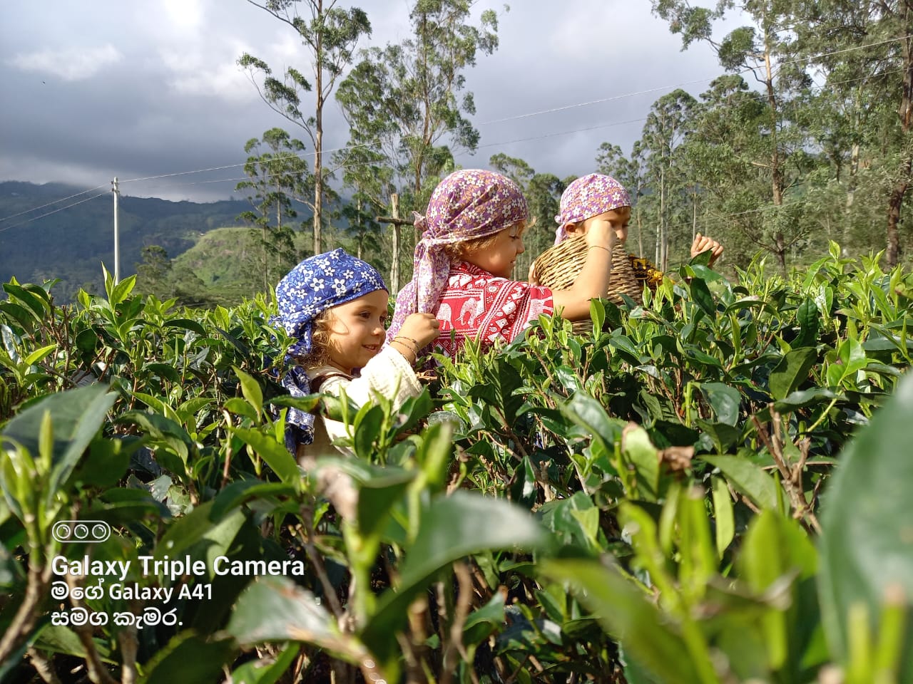 Sri Lanka Tour Memory